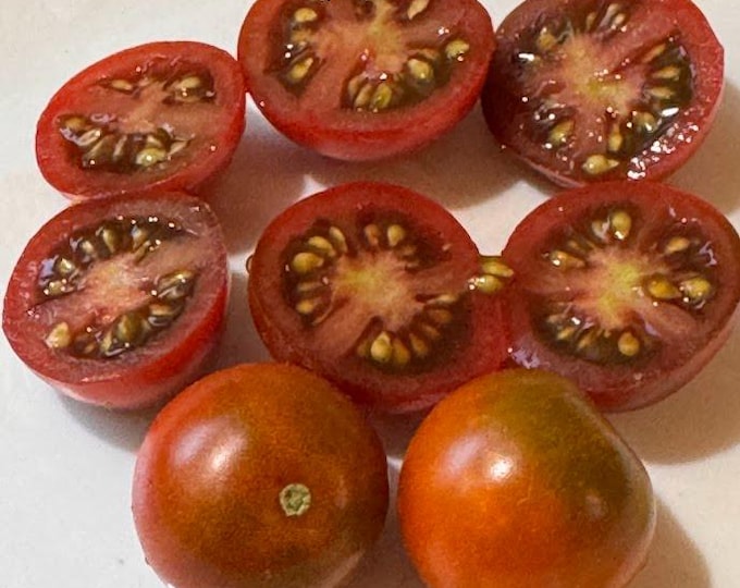 Cherry Brownies Tomato Seeds