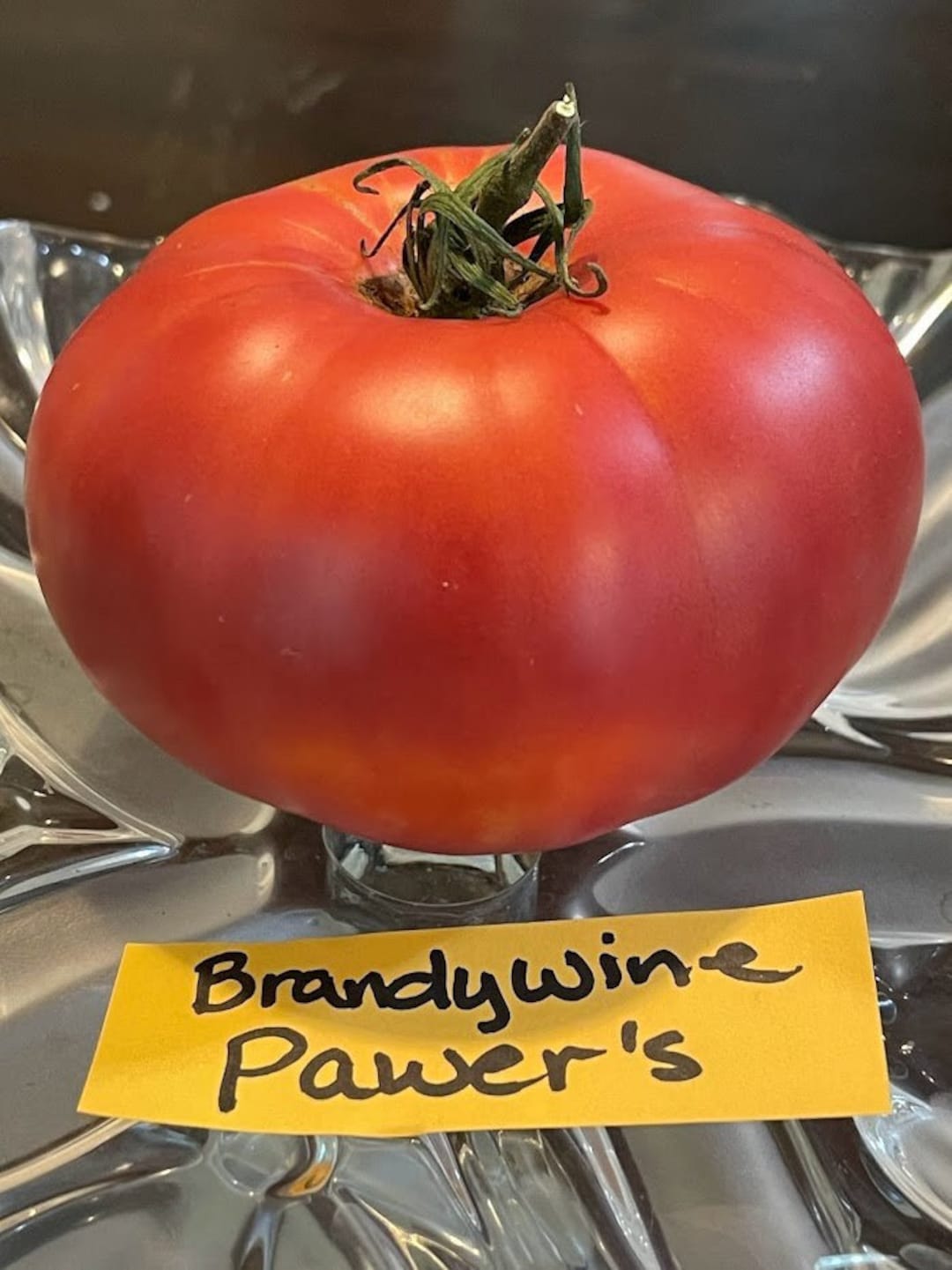 Brandywine Pawer's Tomato Seeds 