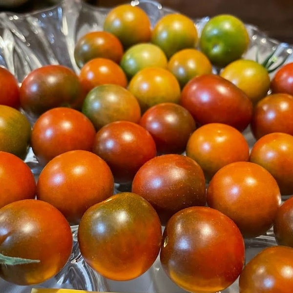 Cappuccino Tomato Seeds