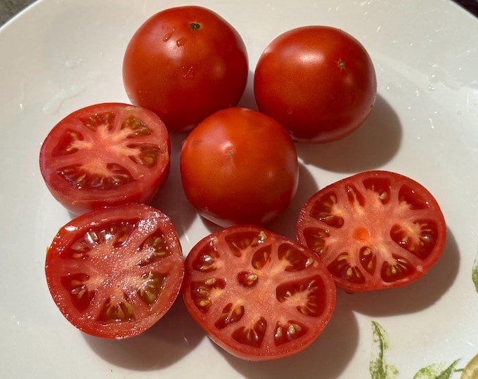 Glamour Tomato Seeds