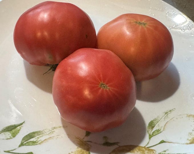 Lambert's General Grant Tomato Seeds