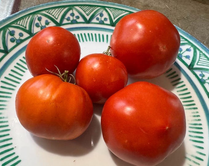 Stokesdale Tomato Seeds