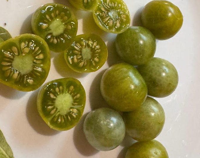 Featured listing image: Pocket Star Cherry Tomato Seeds