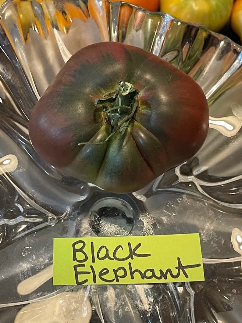 Black Elephant Tomato Seeds image 6