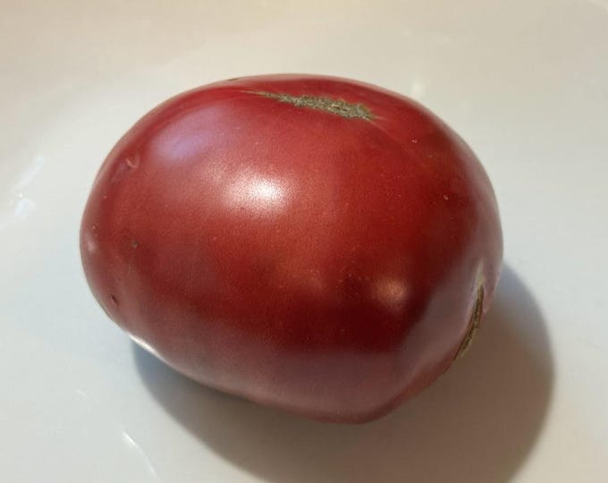 Varsovia Tomato Seeds
