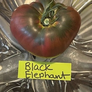 Black Elephant Tomato Seeds image 3