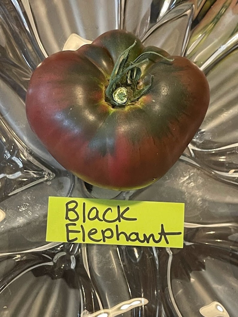 Black Elephant Tomato Seeds image 3