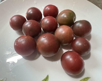 Violet Kirsch Tomato Seeds