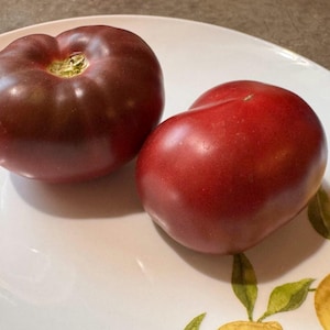 Calvados Tomato Seeds