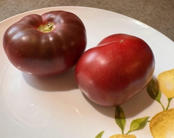 Calvados Tomato Seeds