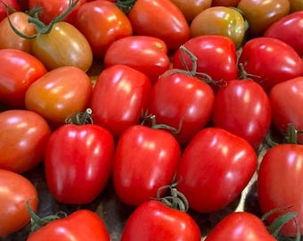 Chandelier Tomato Seeds
