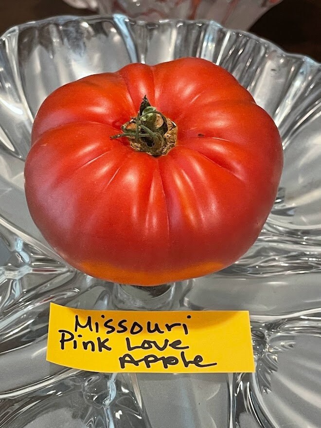 Tomato-love♡ Missouri Pink Love Apple Tomato Seeds | Baker Creek Seeds