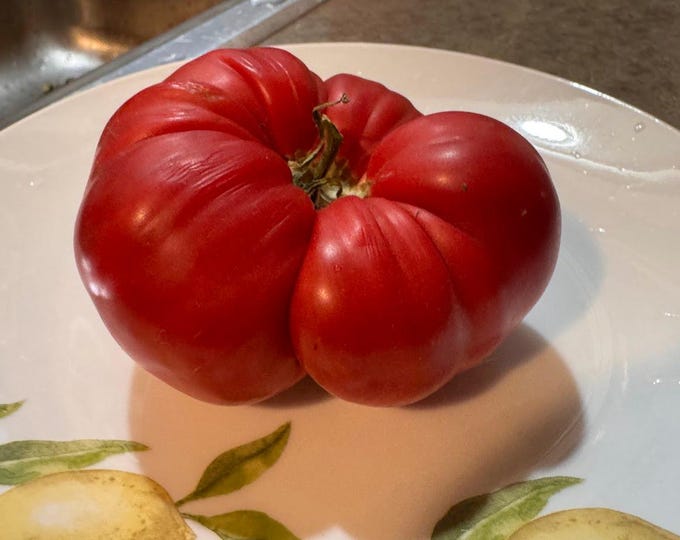 Scarlet Knight Tomato Seeds