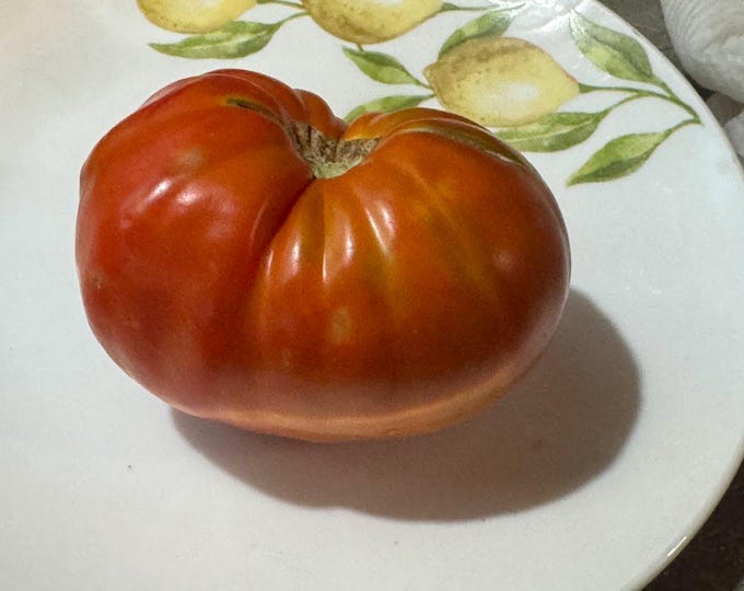Wild Bill's Big Red Tomato Seeds