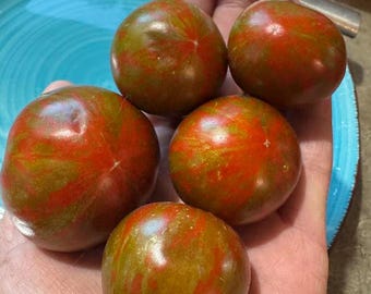 Spike Tomato Seeds