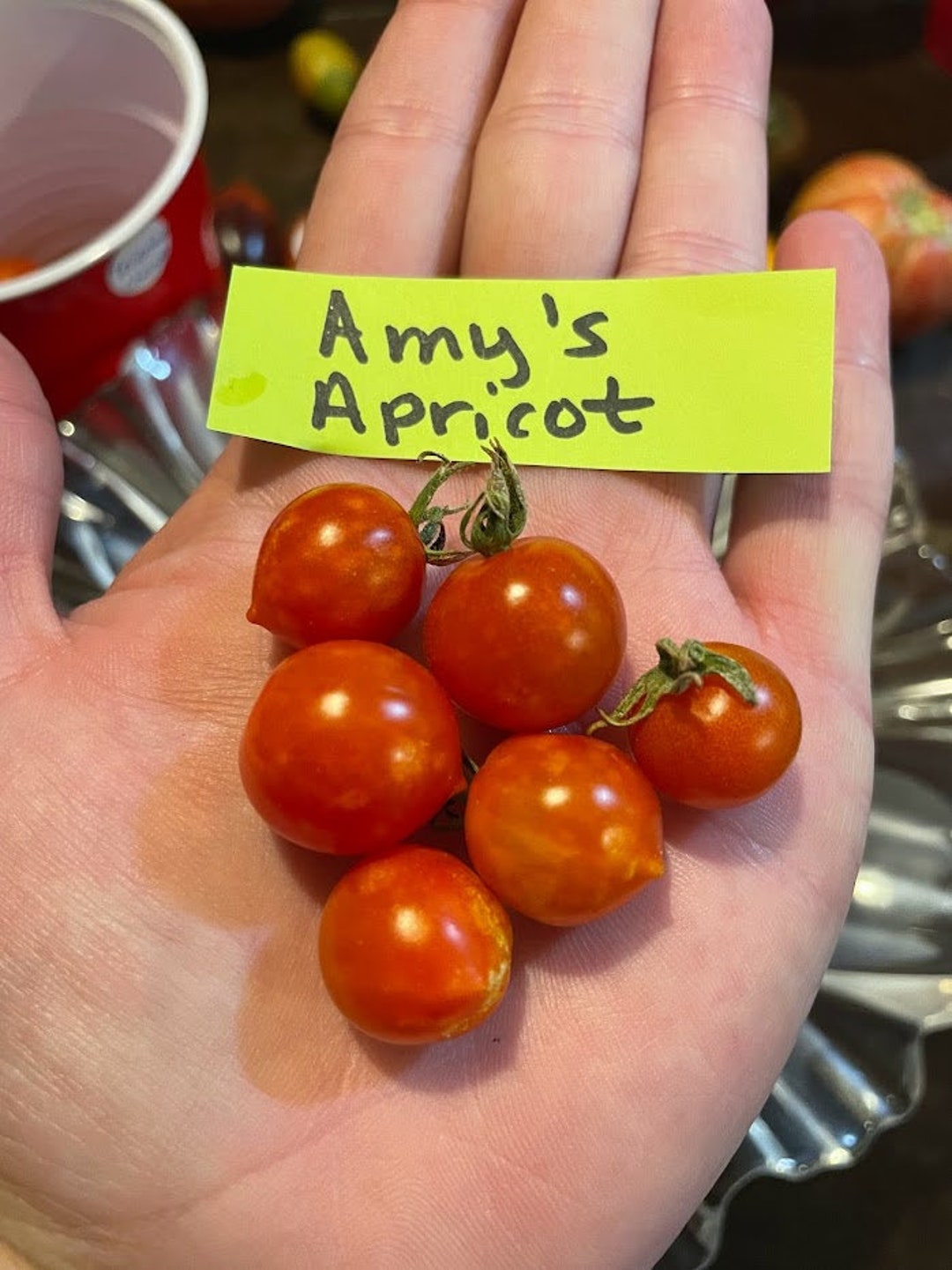 Amy’s Apricot Tomato Seeds - Etsy
