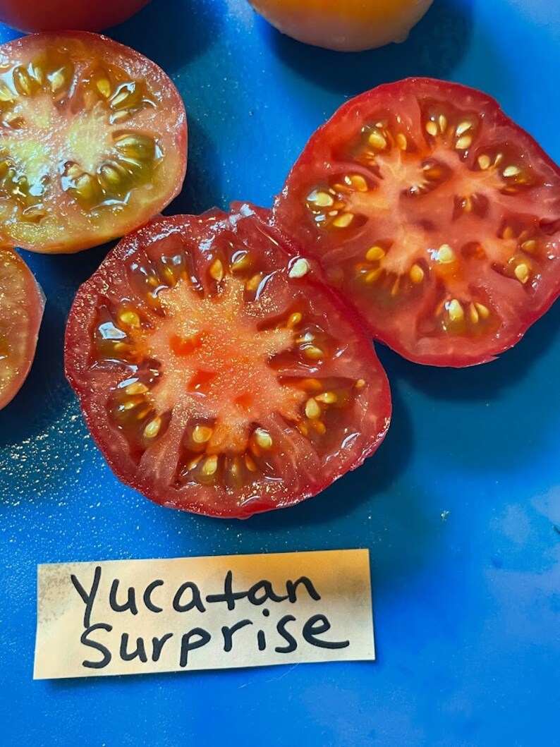 Yucatan Surprise Tomato Seeds image 8