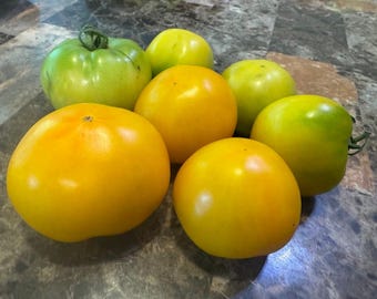 Morden Yellow Tomato Seeds