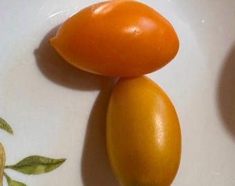 Orange Banana Heirloom Tomato Seeds