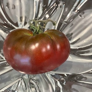 Mikado Black Tomato Seeds