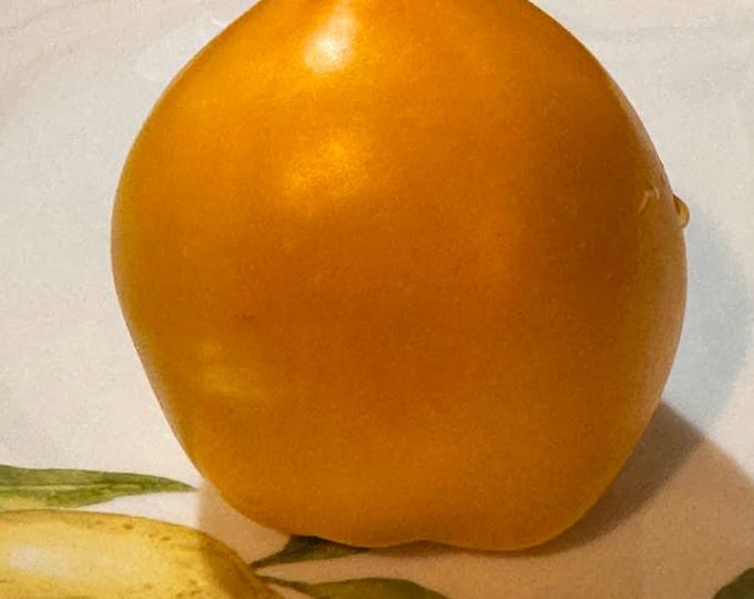 Queen Marbena Tomato Seeds