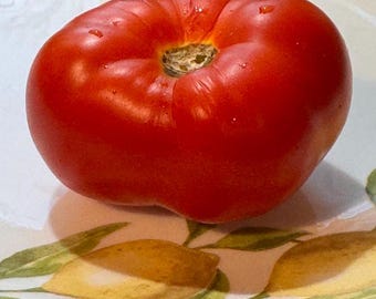 Three Fat Men Pink Tomato Seeds