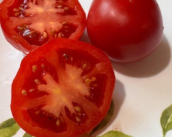 Scarlet Pumpkin Tomato Seeds