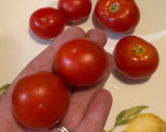 Florida Petite Micro Tomato Seeds