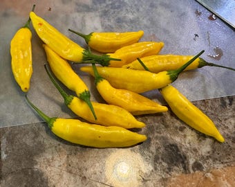 Aji Lemon Drop Pepper seeds