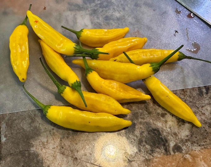 Aji Lemon Drop Pepper Seeds