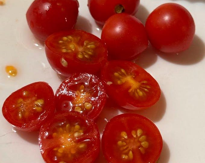 Lea Von Anne Marie Tomato Seeds - Multiflora