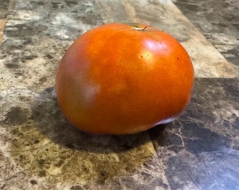 Indiana Baltimore Tomato Seeds