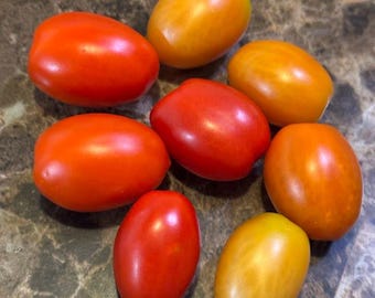 Pandorino Tomato Seeds