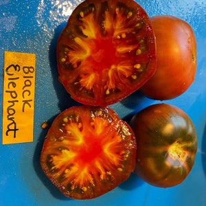 Black Elephant Tomato Seeds image 5