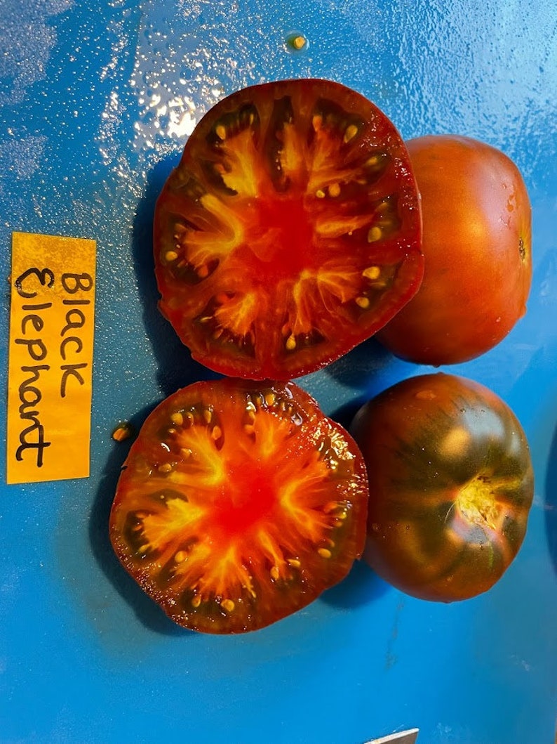 Black Elephant Tomato Seeds image 5