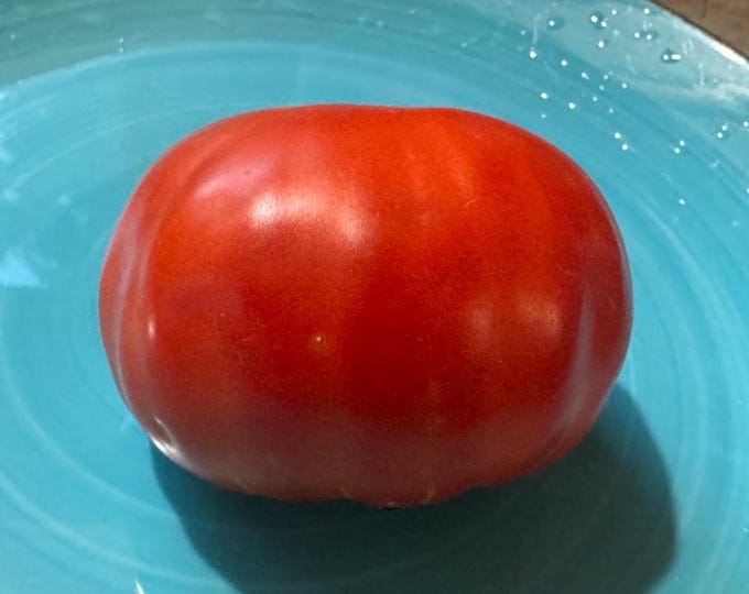 Wild Bill's Old Timey Tomato Seeds