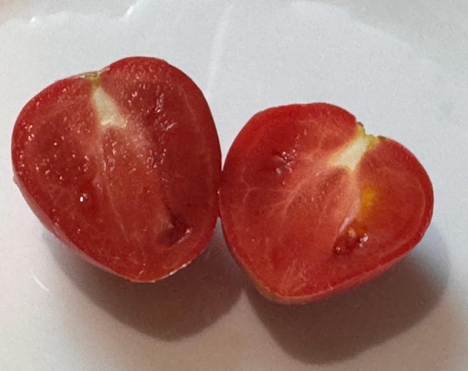 Heart of America Tomato Seeds