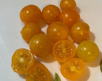 Yellow Marble Tomato Seeds