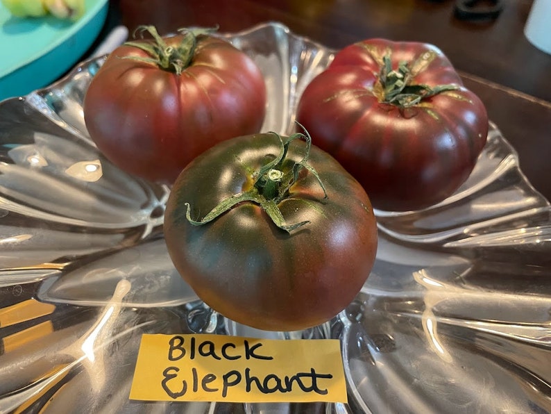 Black Elephant Tomato Seeds image 1
