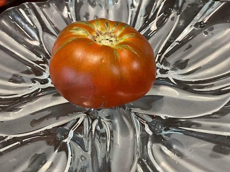 Copper Pipe RARE Russian Tomato Seeds Etsy