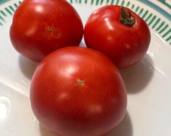 Early Baltimore Tomato Seeds