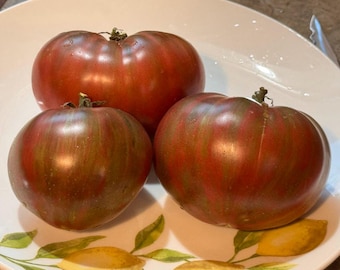 Boathouse Tomato Seeds