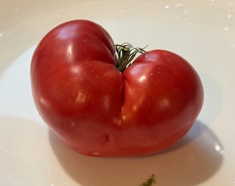 Livingston's Gulf State Market Tomato Seeds