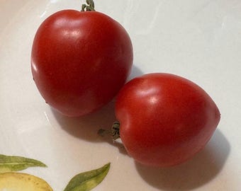 Cougar Red Tomato Seeds