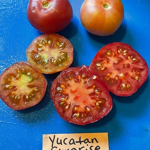 Yucatan Surprise Tomato Seeds image 6