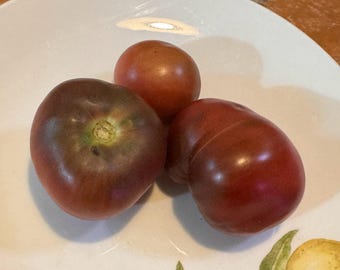 Red Ocean Tomato Seeds