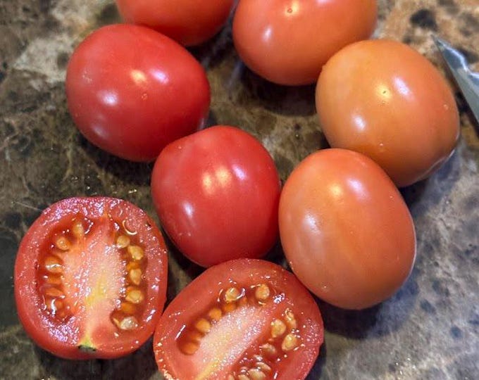 Wickenburg-Prescott Tomato Seeds