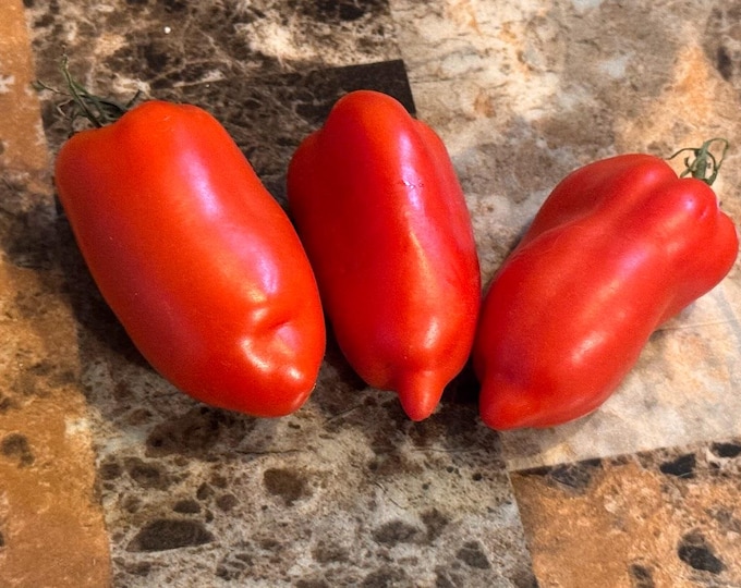 Featured listing image: Nello's Plum Tomato Seeds