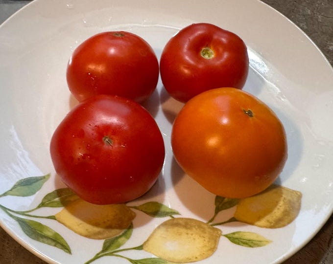Featured listing image: Mozark Tomato Seeds - VERY RARE
