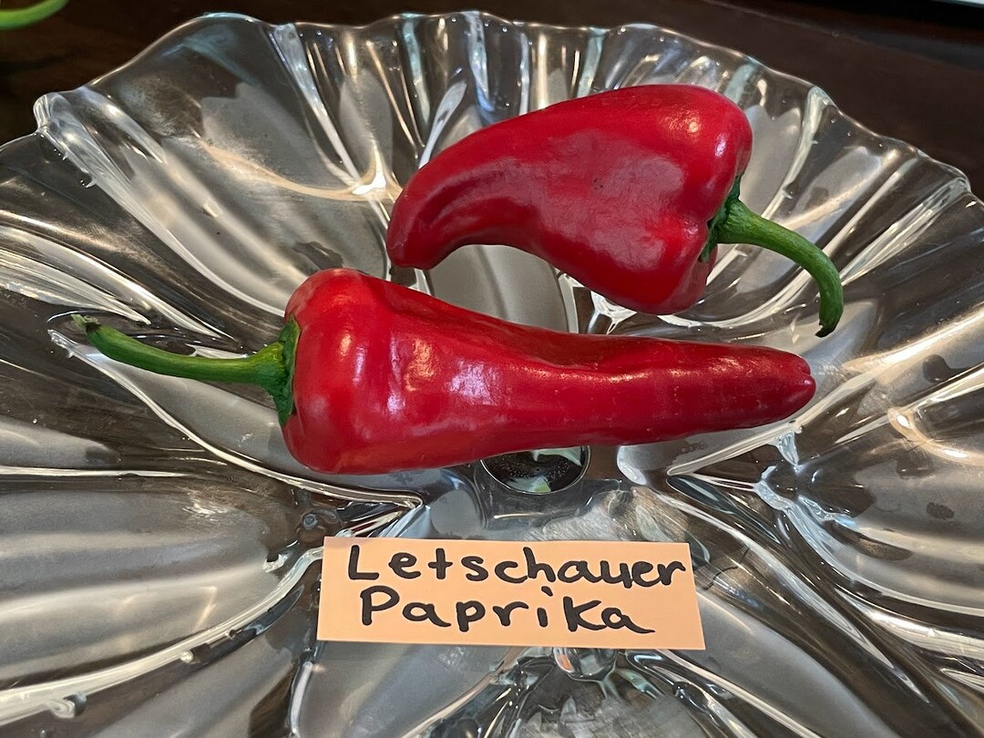 Leutschauer Paprika Pepper Seeds Etsy